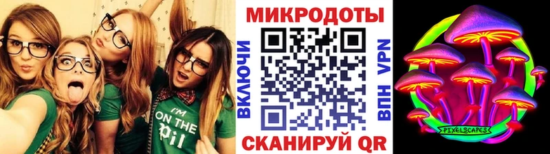 Купить где Ивантеевка Галлюциногенные грибы GOLDEN TEACHER